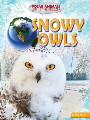 cover image of Snowy Owls